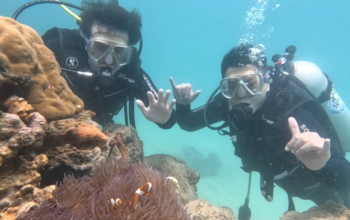Diving lombok